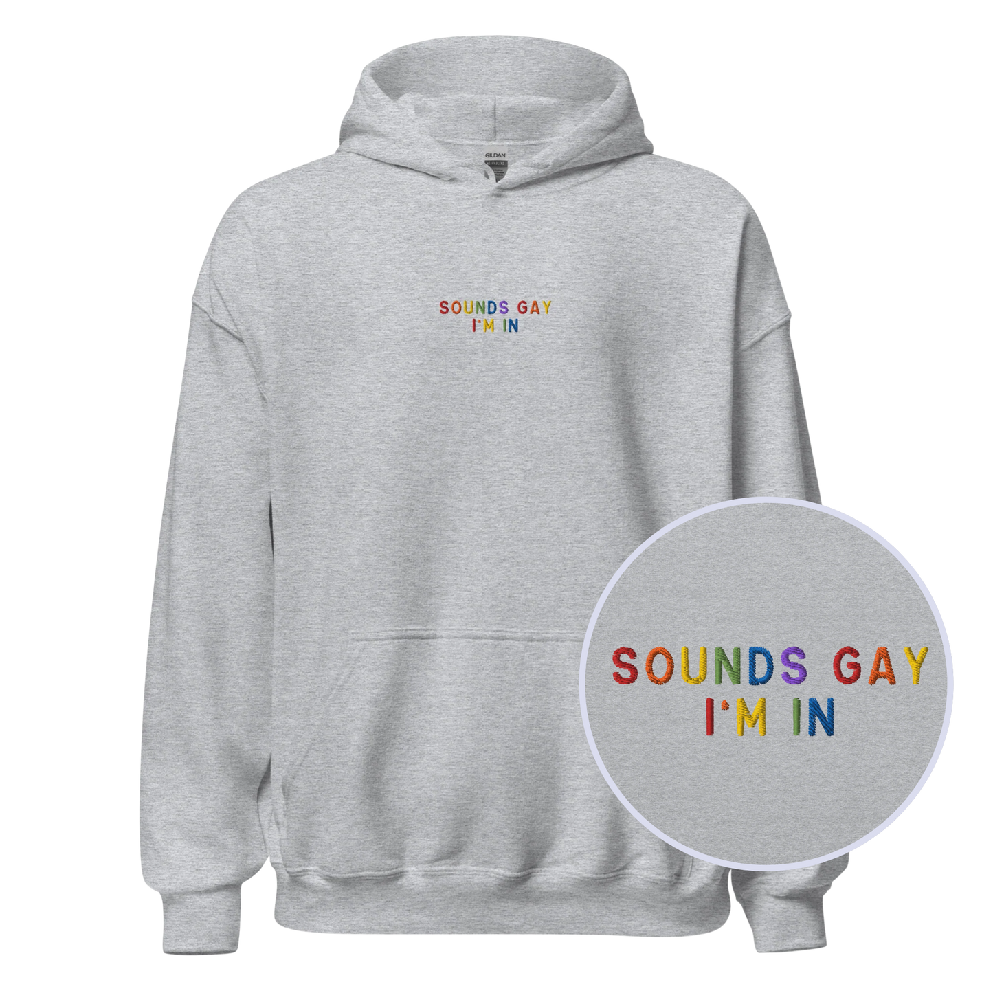 Sounds Gay I'm In Pride Embroidered Hoodie