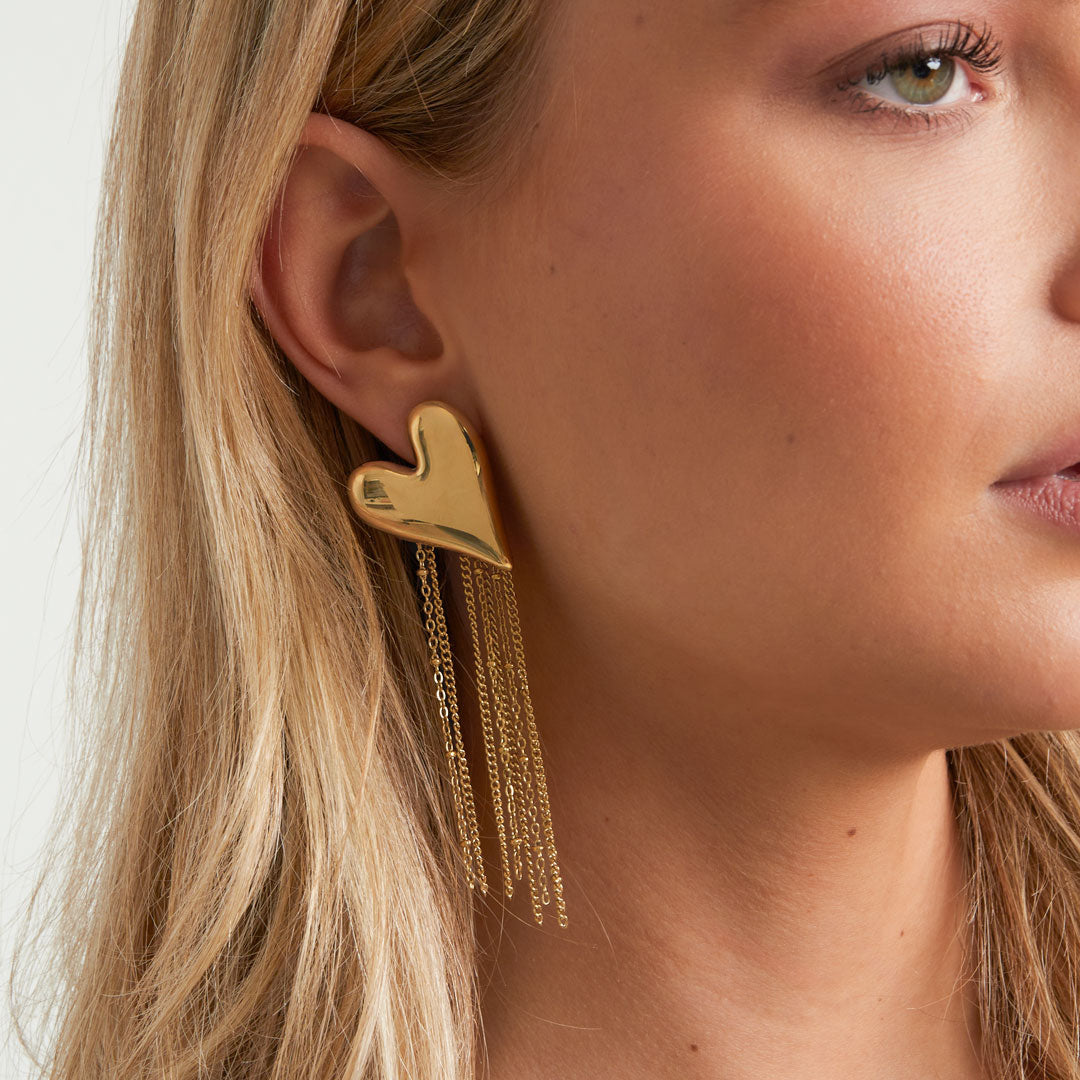 Stainless Steel Dangle Earrings Heart Casual Daily Simple Series Women's jewelry