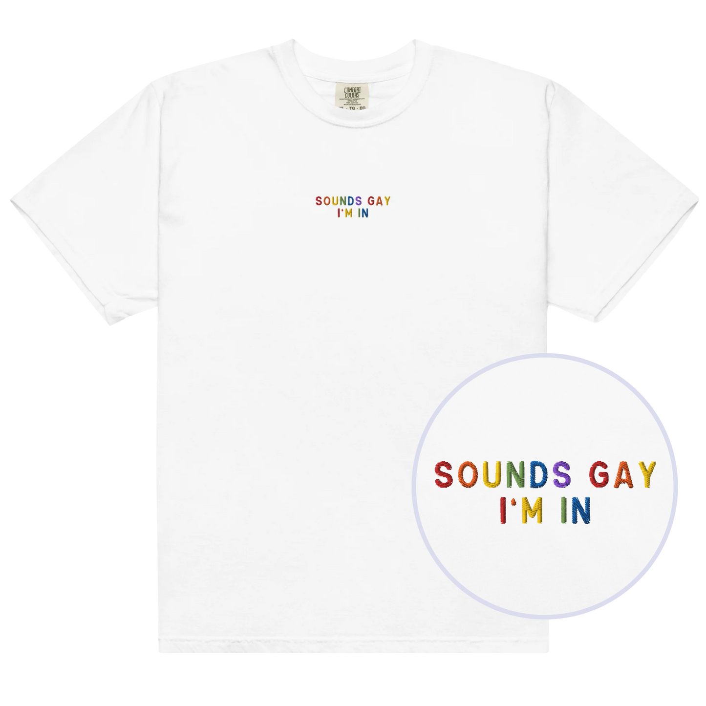 Sounds Gay, I'm In Pride Embroidered Premium T-Shirt