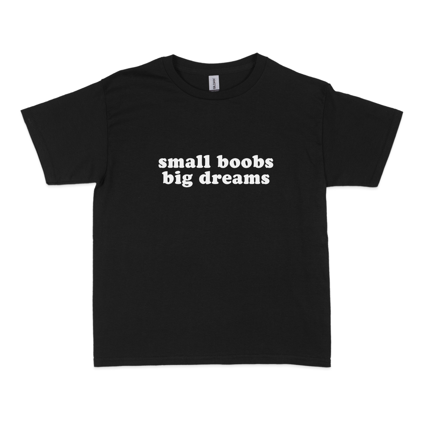 Small Boobs, Big Dreams Baby Tee