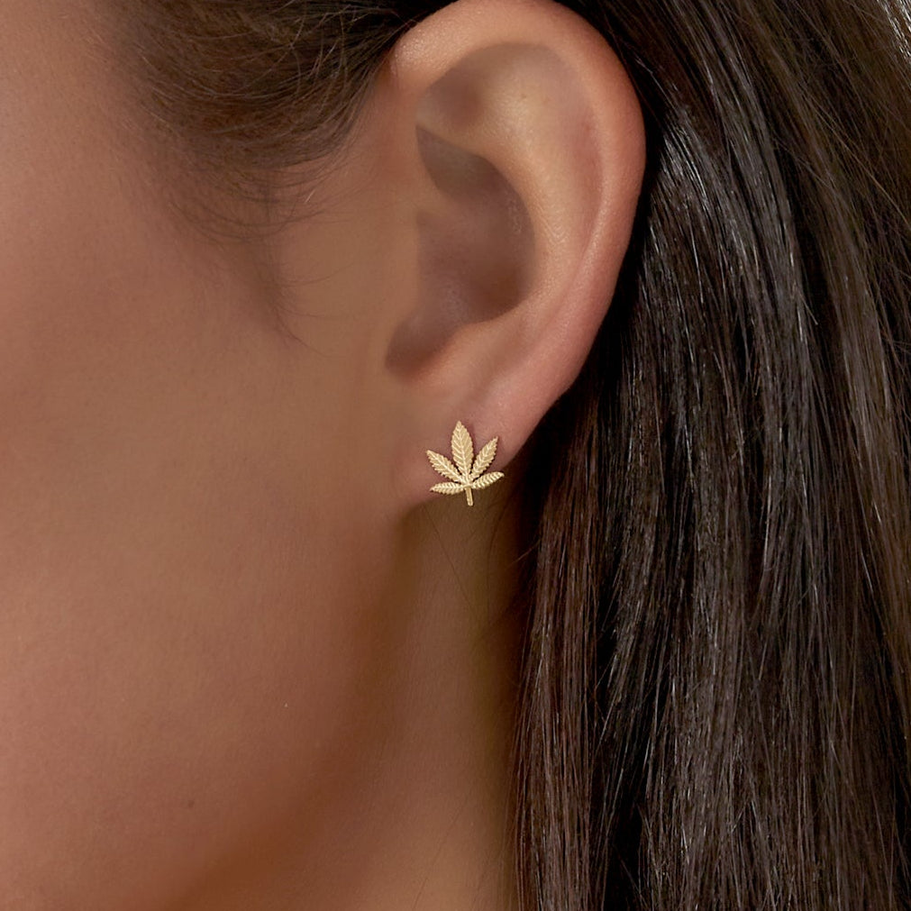 canna bliss studs