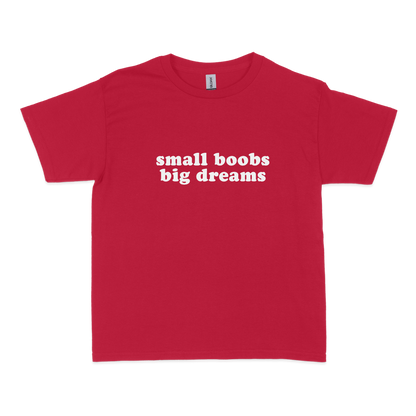 Small Boobs, Big Dreams Baby Tee