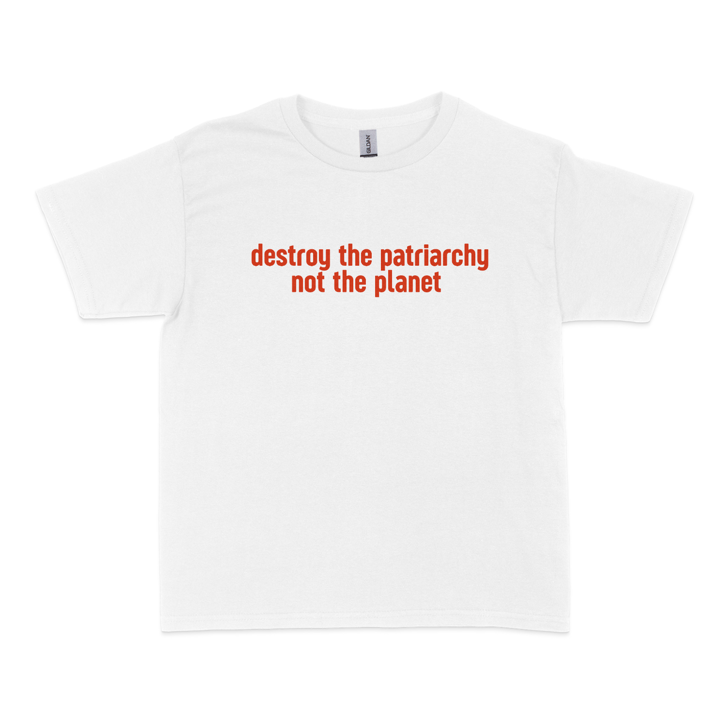 Destroy The Patriarchy Not The Planet Baby Tee