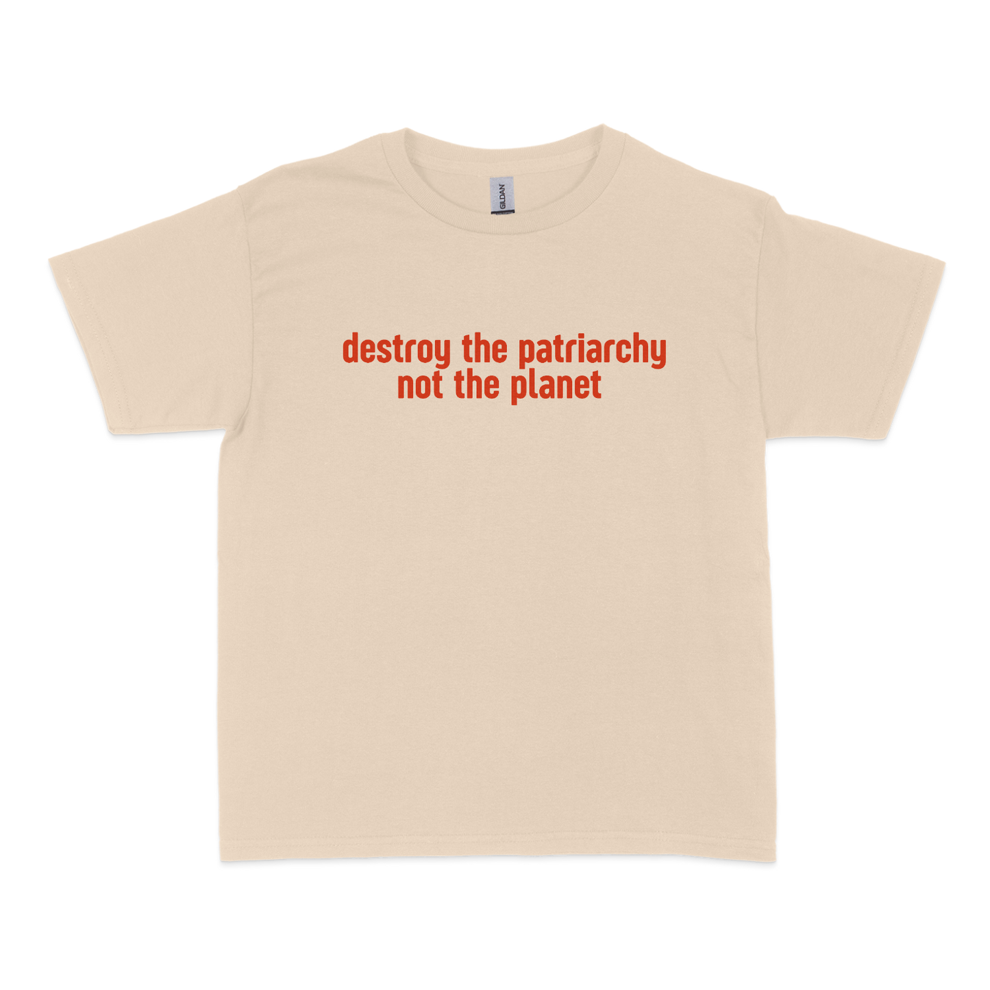 Destroy The Patriarchy Not The Planet Baby Tee