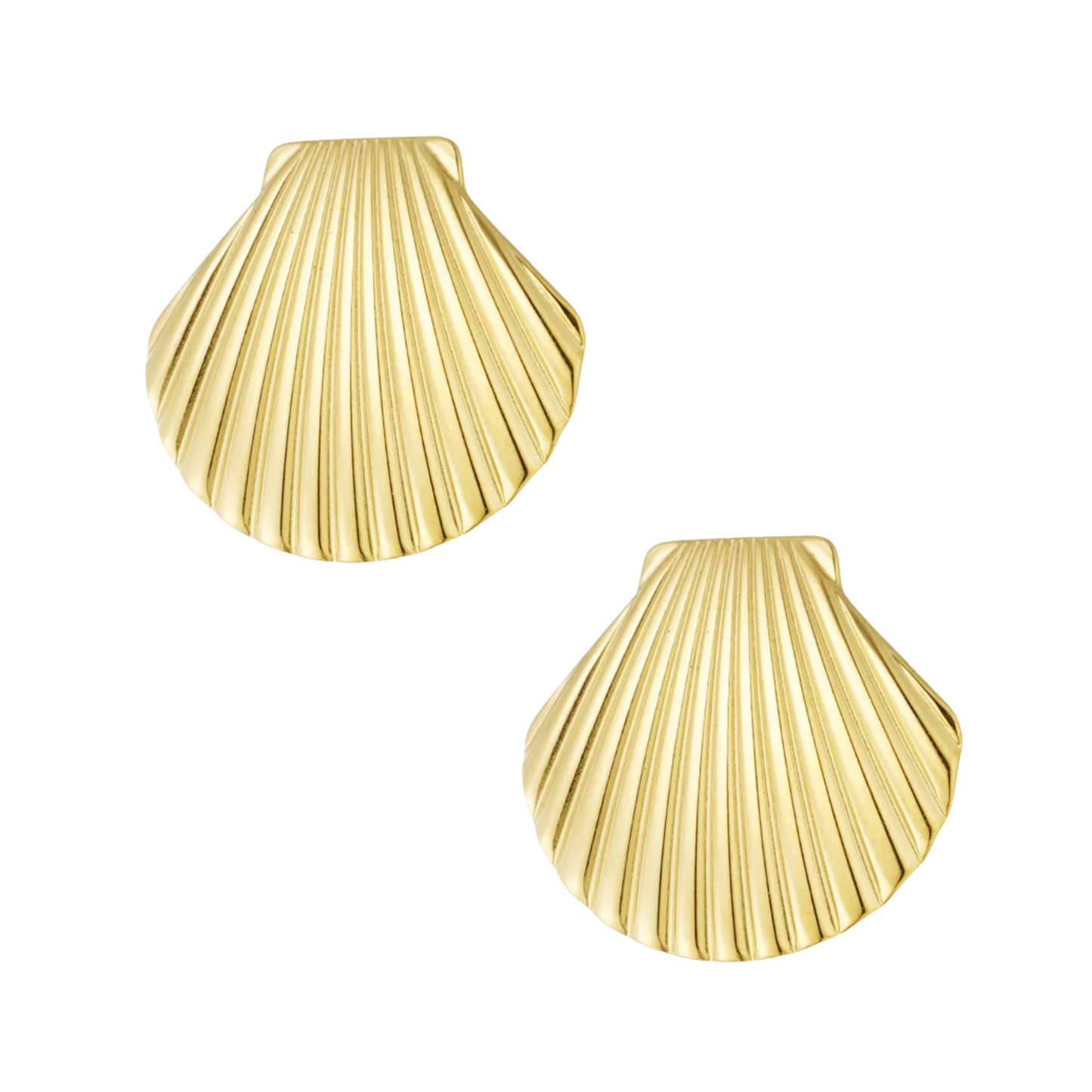 Ridged Shell Stud Earrings