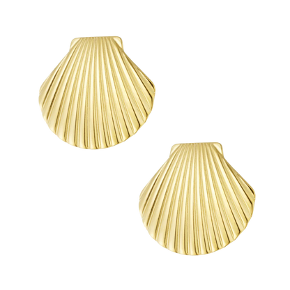 Ridged Shell Stud Earrings