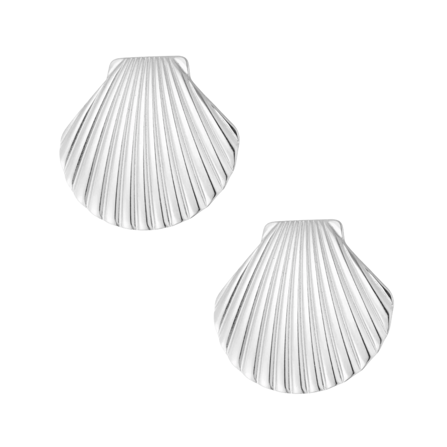 Ridged Shell Stud Earrings