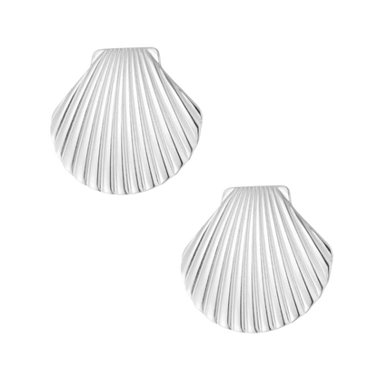Ridged Shell Stud Earrings