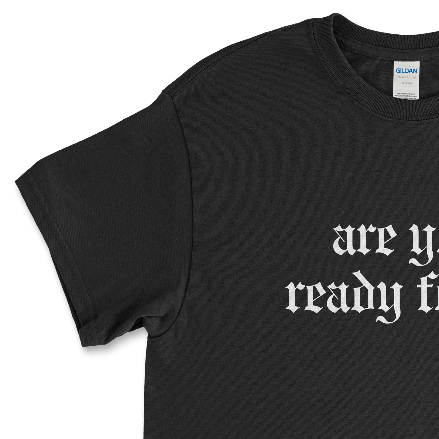 Are You Ready For it Reputation T-Shirt