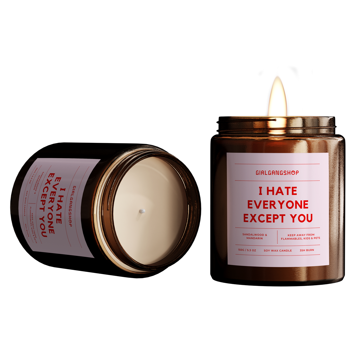 I Hate Everyone Except you Candle