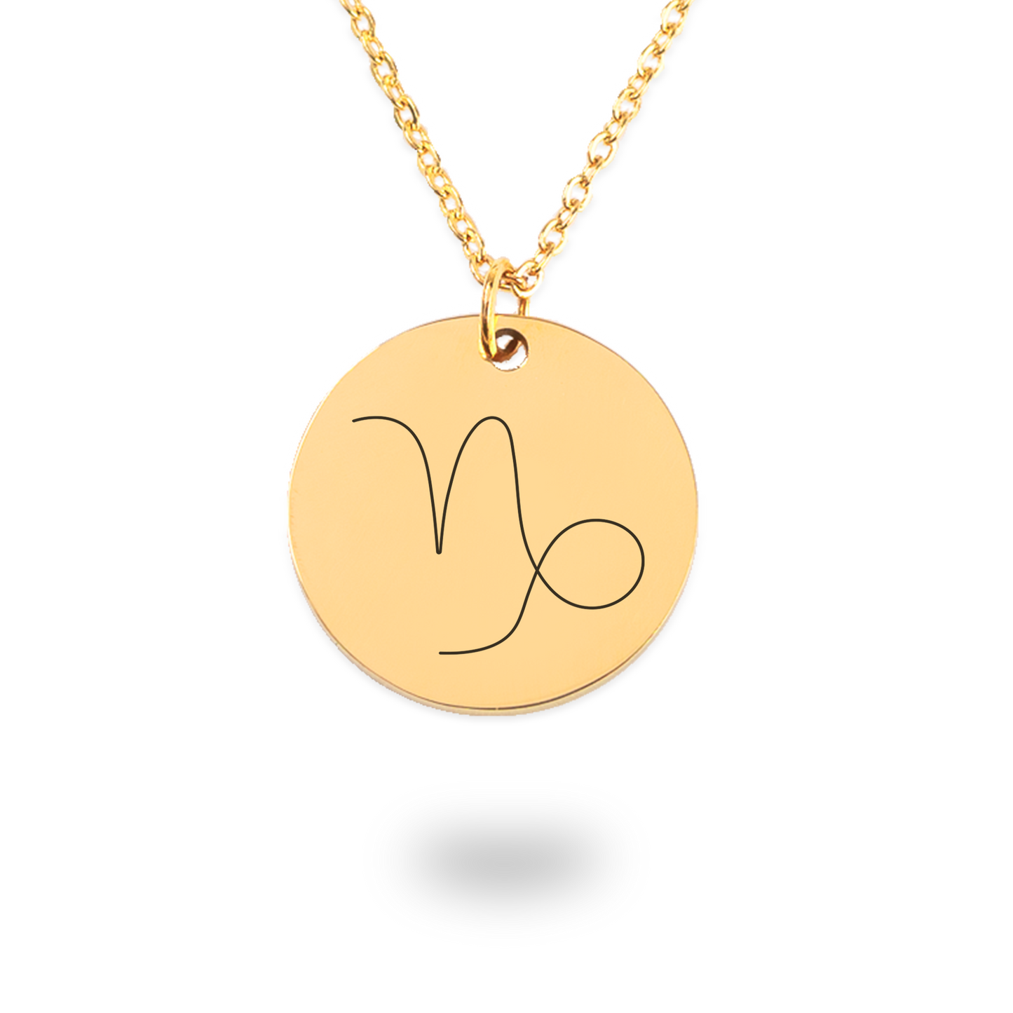 Capricorn Symbol Zodiac Coin Necklace