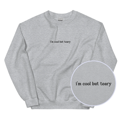 I'm Cool But Teary Embroidered Sweatshirt