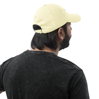 Introverted But Willing To Discuss Cats Embroidered Pastel Baseball Cap