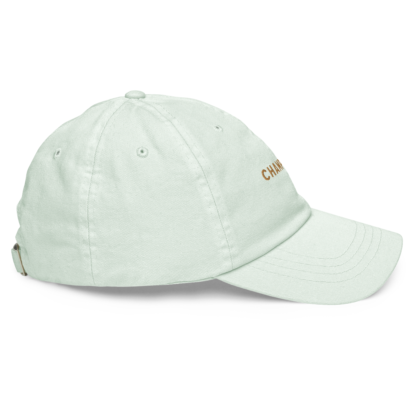 Champagne Embroidered Pastel Baseball Cap