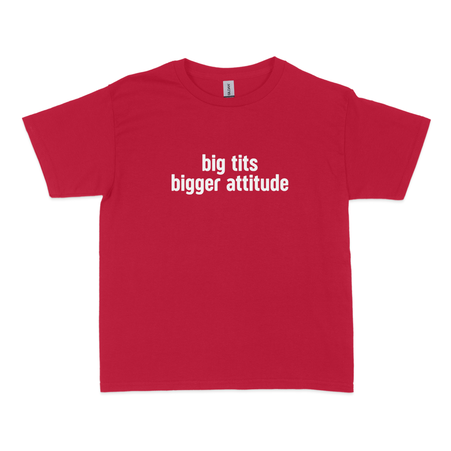 Big Tits Bigger Attitude Baby Tee