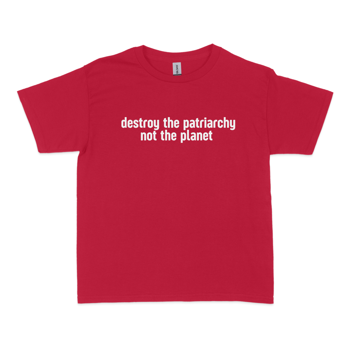 Destroy The Patriarchy Not The Planet Baby Tee