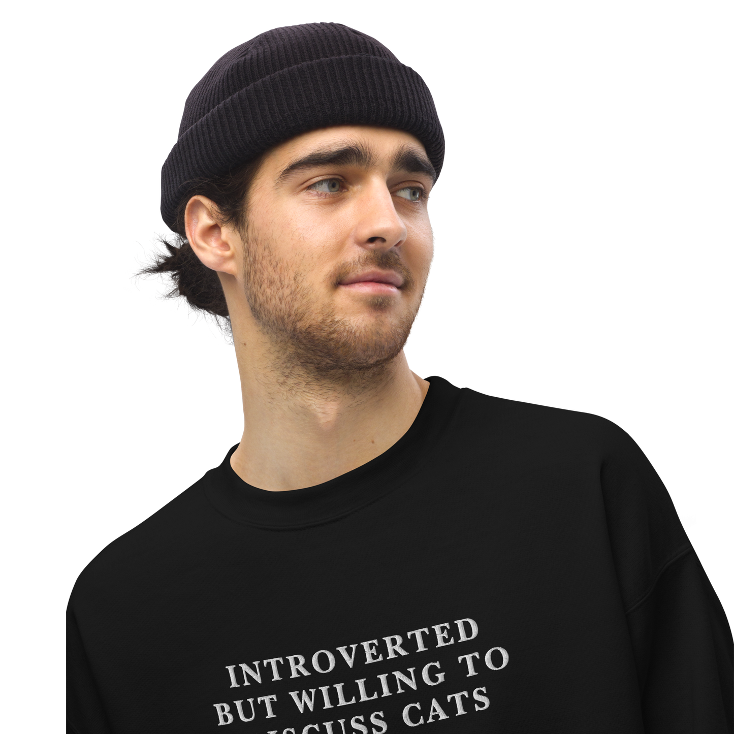 Introverted But Willing To Discuss Cats Embroidered Crewneck Sweatshirt