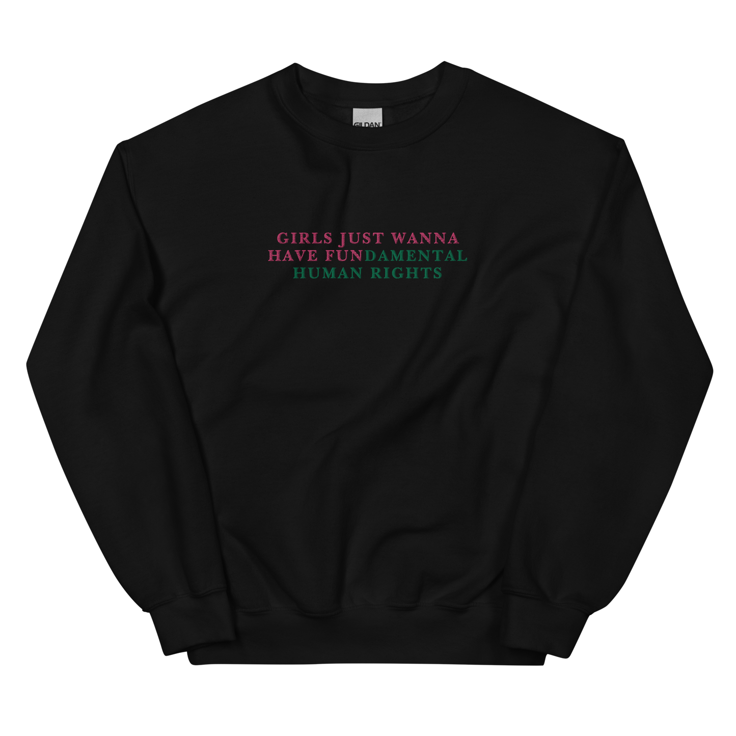 Girls Just Wanna Have Fundamental Human Rights Feminist Embroidered Sweatshirt