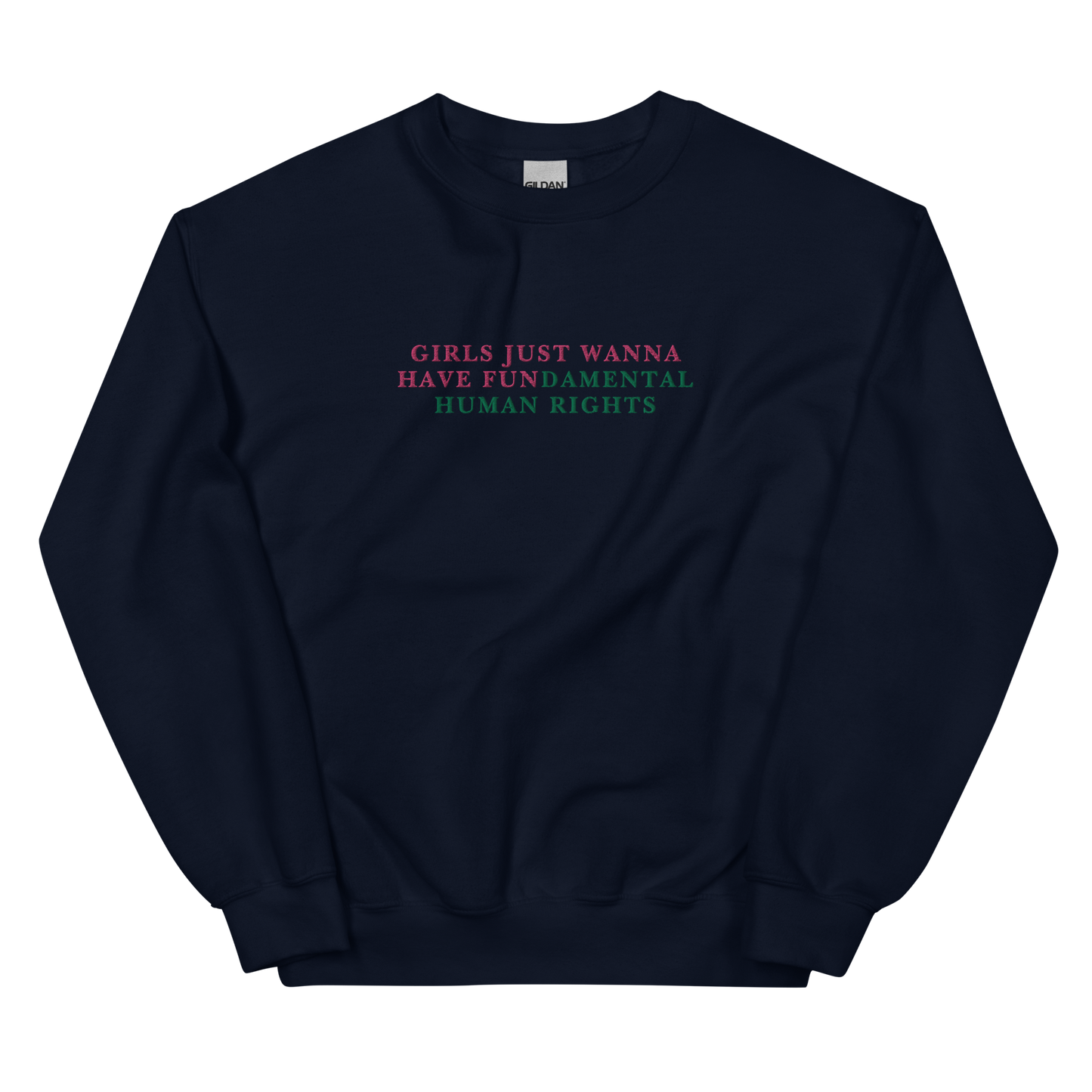 Girls Just Wanna Have Fundamental Human Rights Feminist Embroidered Sweatshirt