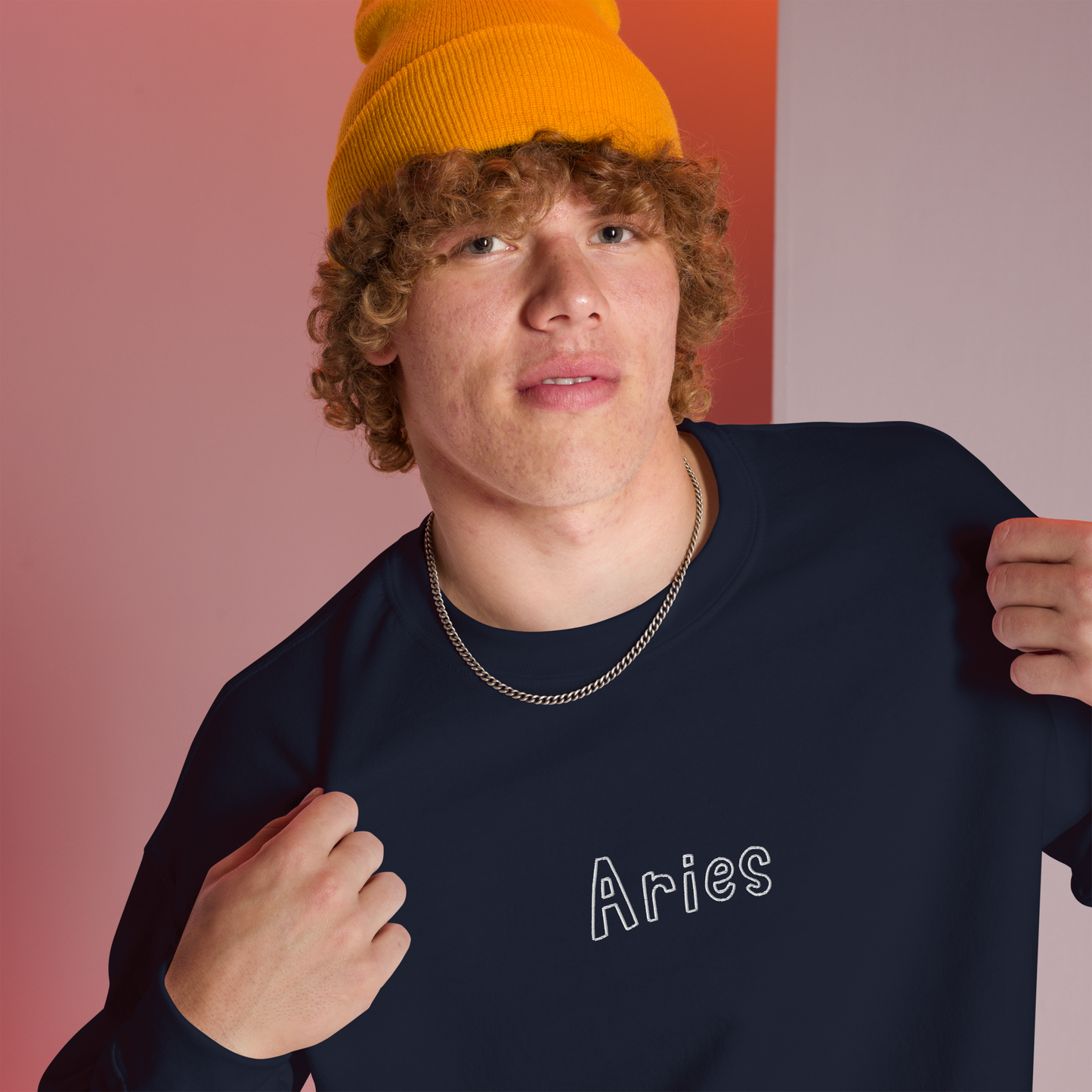 Aries Zodiac Embroidered Sweatshirt