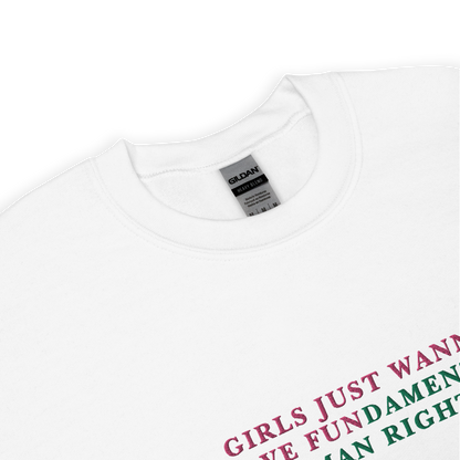 Girls Just Wanna Have Fundamental Human Rights Feminist Embroidered Sweatshirt