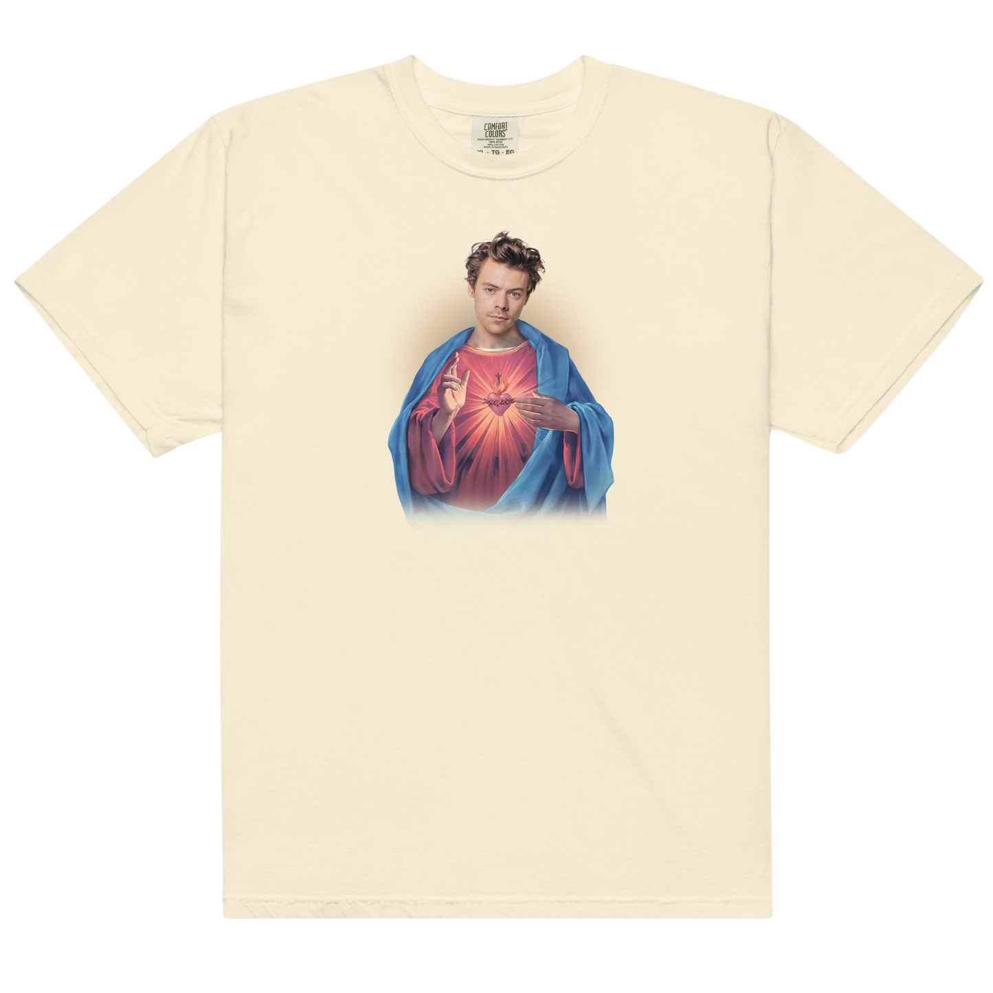 Harry Jesus Premium T-Shirt