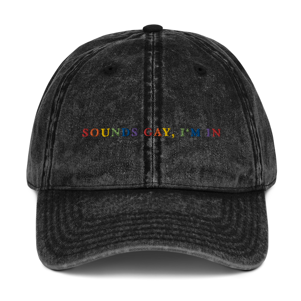 Sounds Gay I'm In Pride Embroidered Vintage Cap