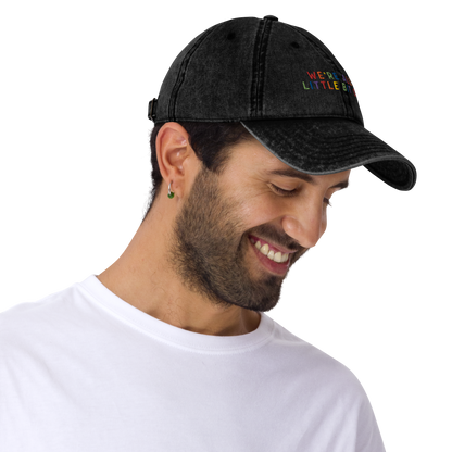 We're All A Little Bit Gay Pride Embroidered Vintage Cap