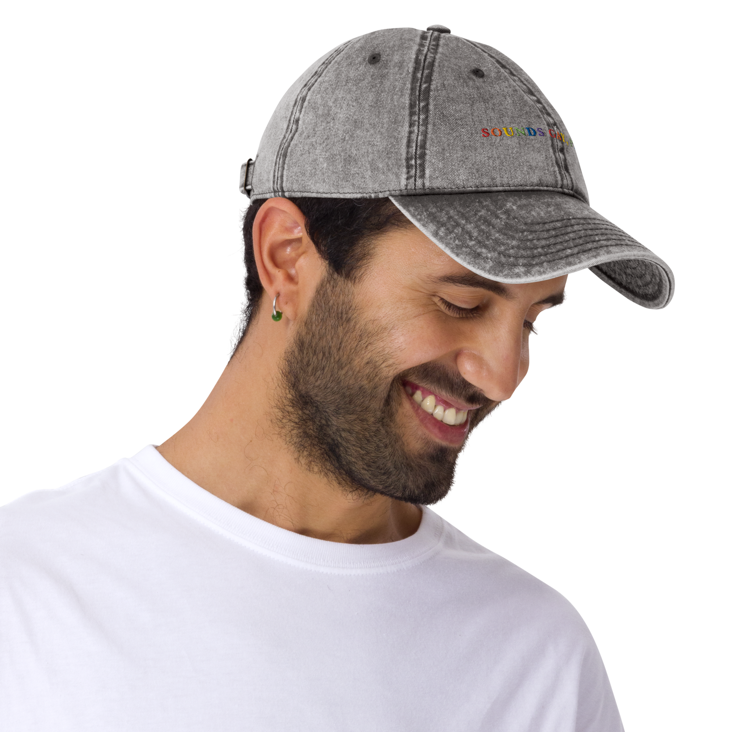 Sounds Gay I'm In Pride Embroidered Vintage Cap