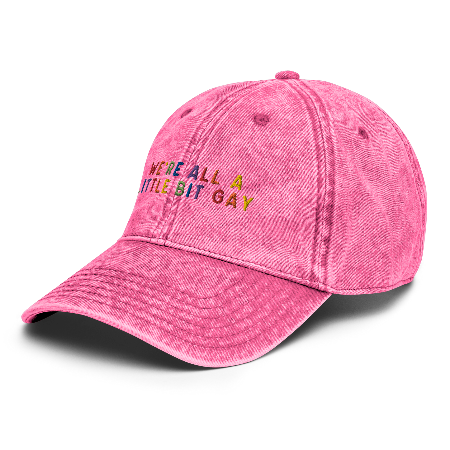 We're All A Little Bit Gay Pride Embroidered Vintage Cap