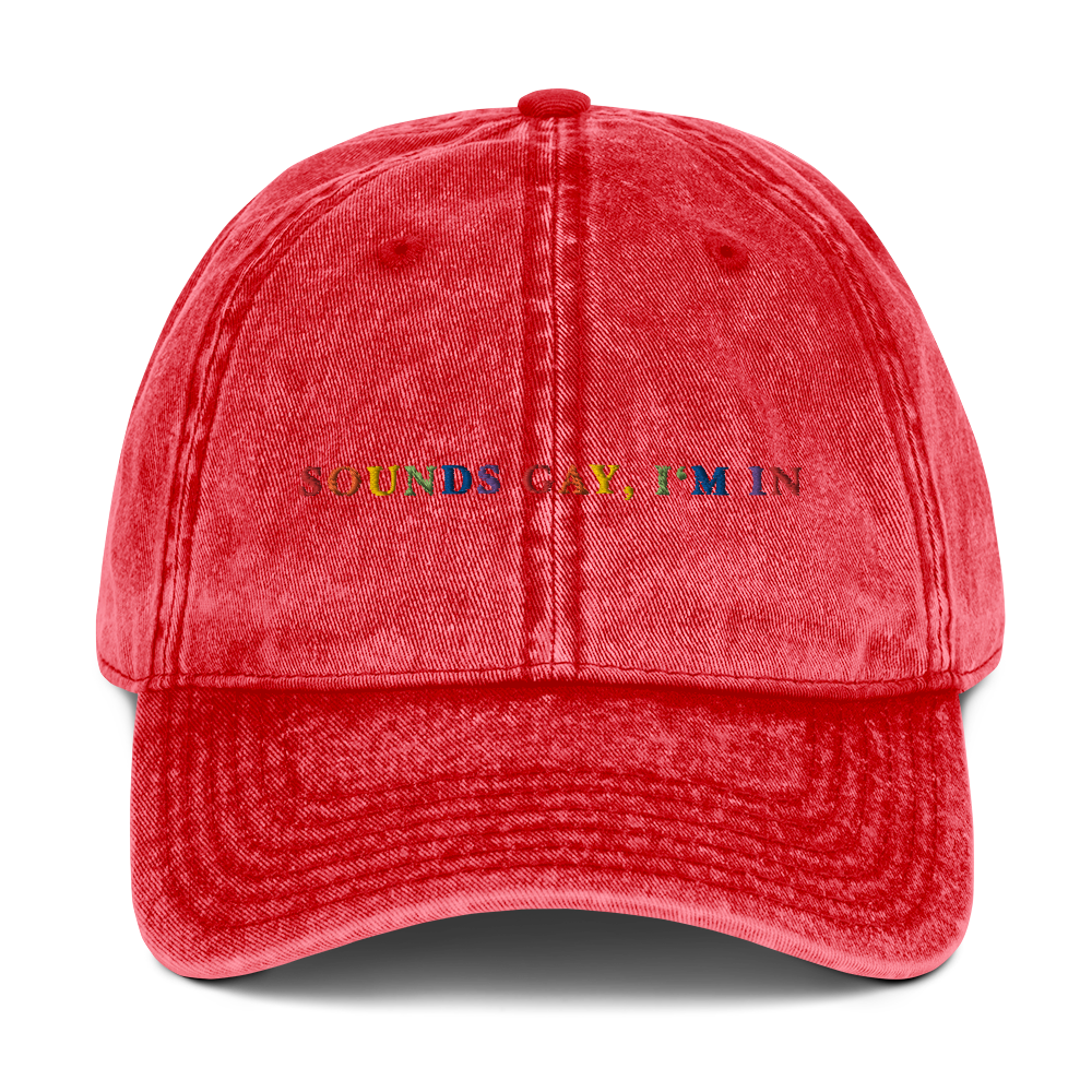 Sounds Gay I'm In Pride Embroidered Vintage Cap