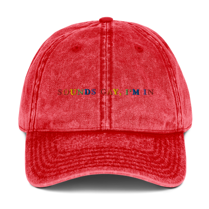 Sounds Gay I'm In Pride Embroidered Vintage Cap